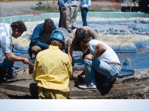 The fountain being (crudely) dismantled